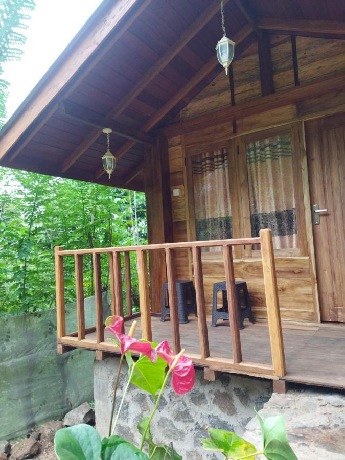 Diyaluma View Cotage Hotel Koslanda Eksteriør billede